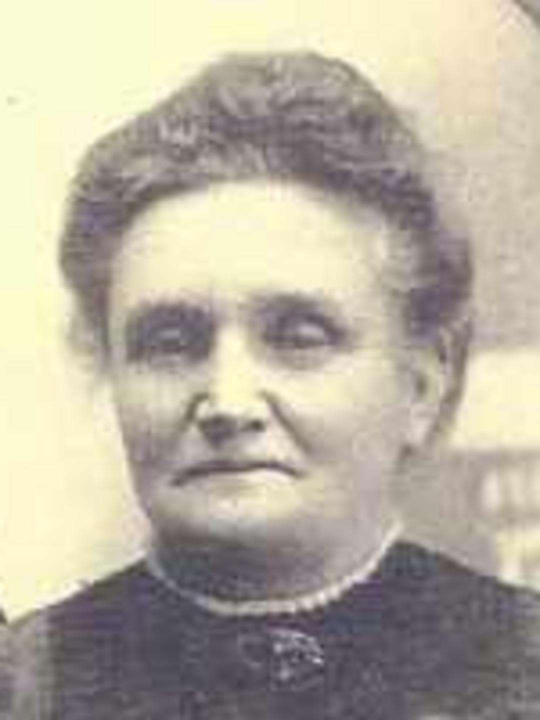Rachel Priscilla Loveless (1841 - 1925) Profile